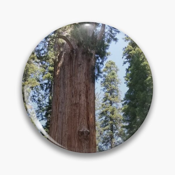 Item preview,  Sequoia National Park Trees designed and sold by Ilana Khoshsima.
