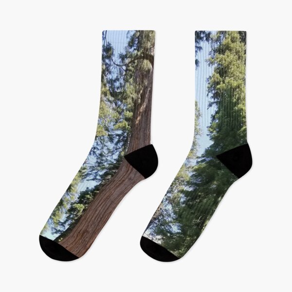 Item preview,  Sequoia National Park Trees designed and sold by Ilana Khoshsima.