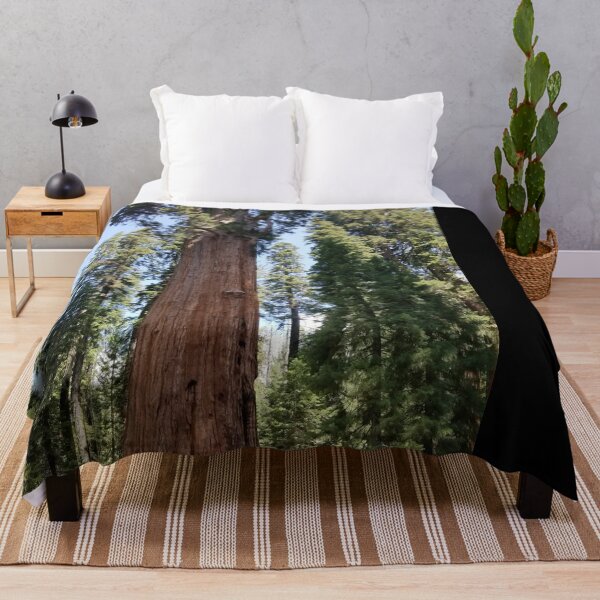 Item preview,  Sequoia National Park Trees designed and sold by Ilana Khoshsima.