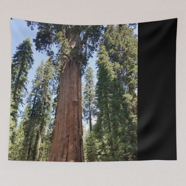 Item preview,  Sequoia National Park Trees designed and sold by Ilana Khoshsima.