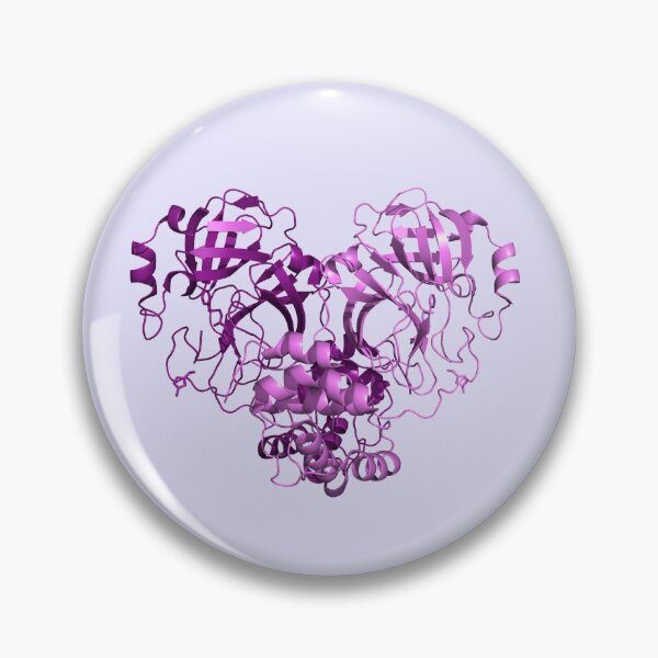 Item preview, SARS-CoV-2 Protease Structure designed and sold by biochembunny.