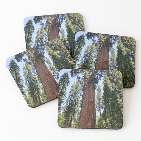 Item preview,  Sequoia National Park Trees designed and sold by Ilana Khoshsima.