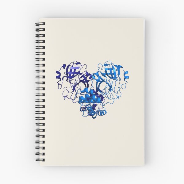 Item preview, SARS-CoV-2 Protease Structure designed and sold by biochembunny.