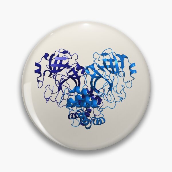 Item preview, SARS-CoV-2 Protease Structure designed and sold by biochembunny.