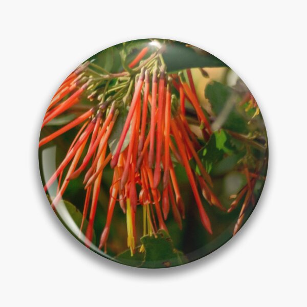Item preview, clb red foliage designed and sold by pcfyi.