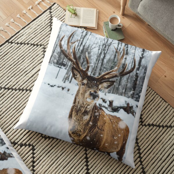 farmhouse design Floor Pillow