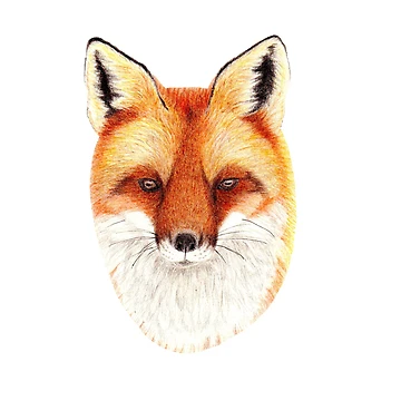 Artwork thumbnail, Fox by YuNikDraw