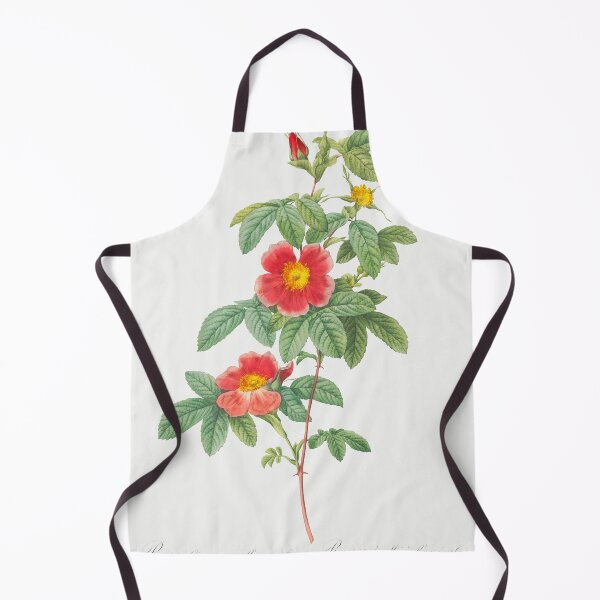 Item preview, Les Roses by Pierre-Joseph Redouté designed and sold by EsotericBotanic.