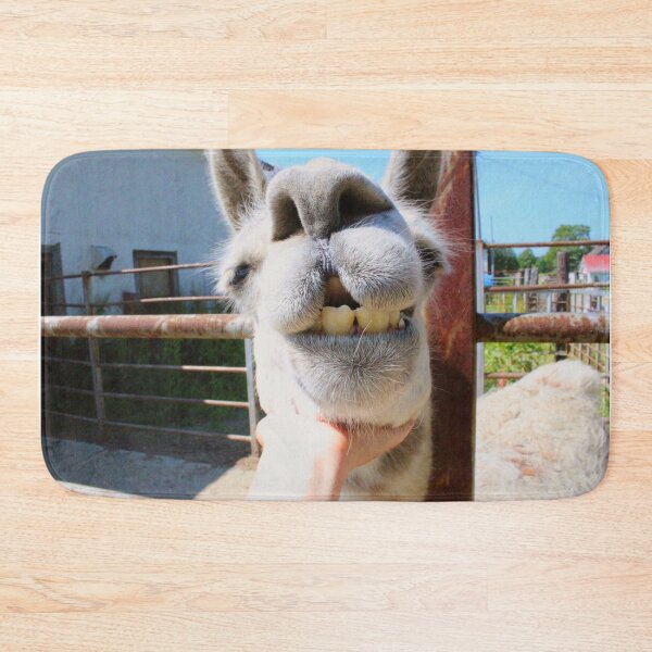 Item preview, Dorky Llama Asking for Pets designed and sold by citrusapple.