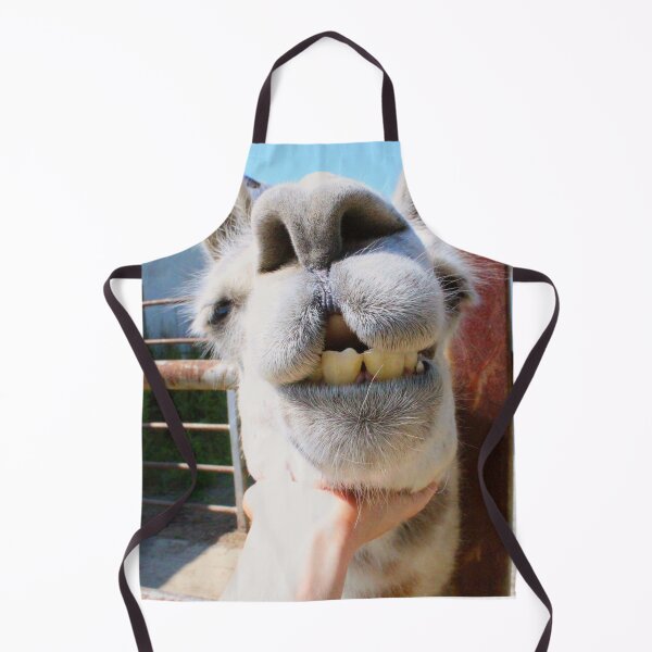 Item preview, Dorky Llama Asking for Pets designed and sold by citrusapple.
