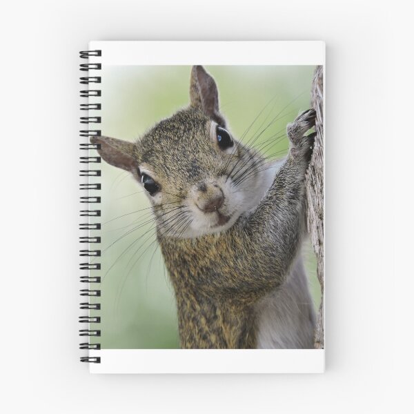 Item preview, Staring Contest with a Squirrel designed and sold by Jill Nightingale.
