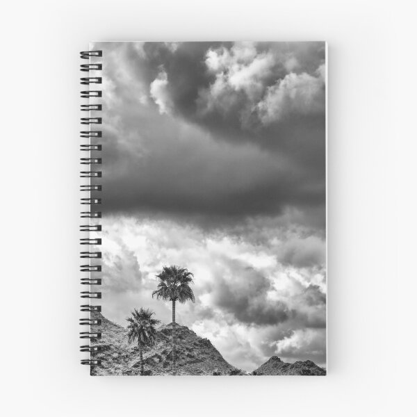 Item preview, Monsoon Time BW designed and sold by Elisabeth Lucas.