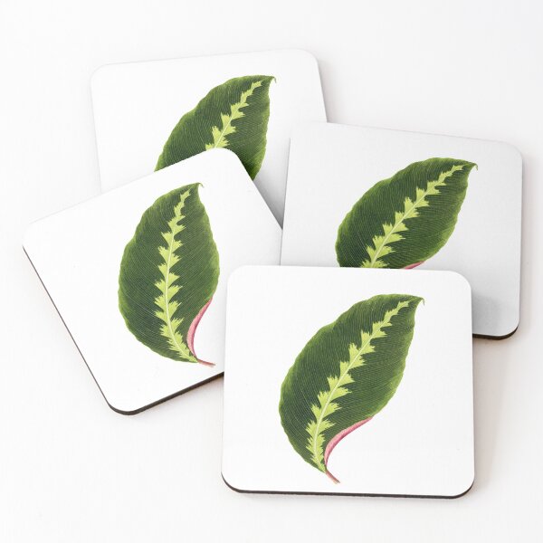 Item preview, Calathea Warscewiczii - Flore des serres et des jardin de l’Europe designed and sold by chimakingthings.