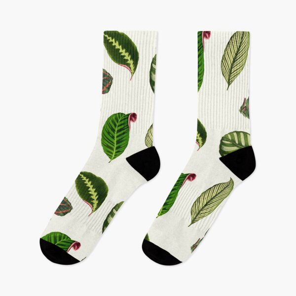 Item preview, Pack of Calathea leaves  designed and sold by chimakingthings.