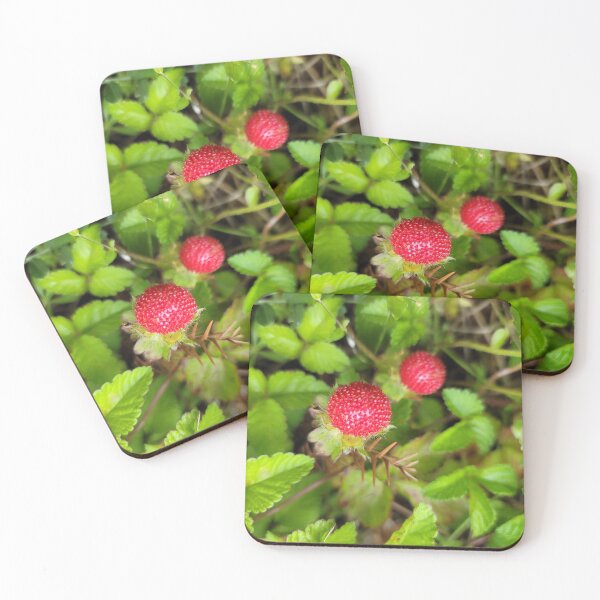 Item preview, Bam Strawberries beared in our tangerine farms, jeju island. korea designed and sold by human8891.