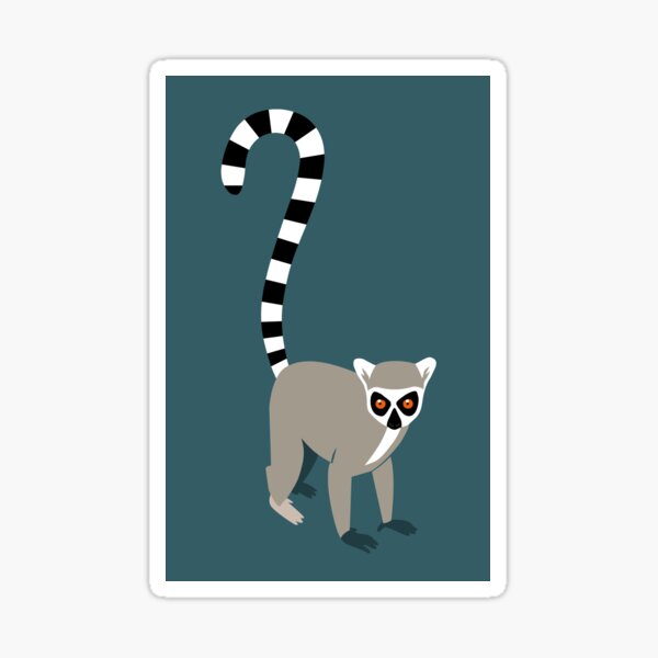 Ring-tailed lemur Sticker