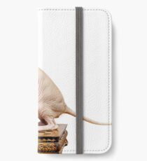 Beautiful sphynx cat with yellow eyes portrait on white background iPhone Wallet/Case/Skin