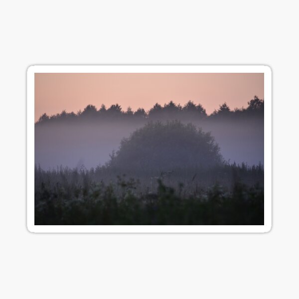 Hedgehog in the Mist Sticker