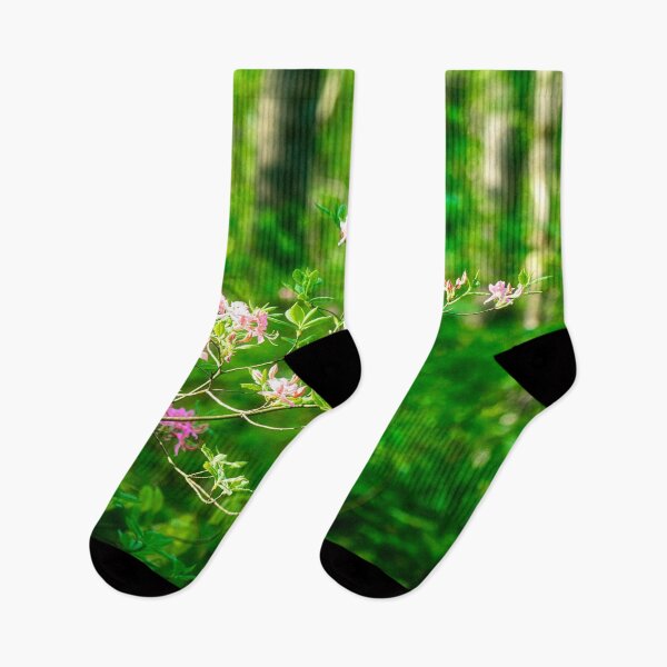 Artikelvorschau, Blühen im Wald entworfen und verkauft von Kathy Weaver.