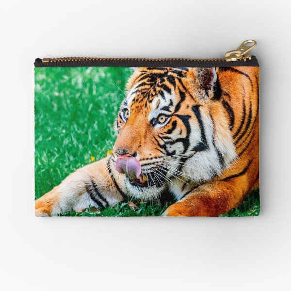 Eager Anticipation Zipper Pouch