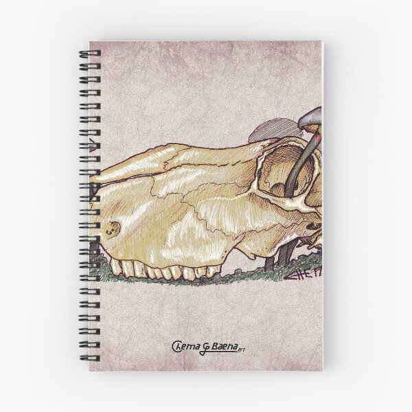 Item preview, Decomposition designed and sold by chemagarcia.