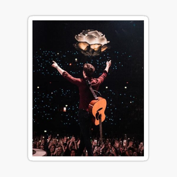 Shawn Mendes Metal Prints for Sale