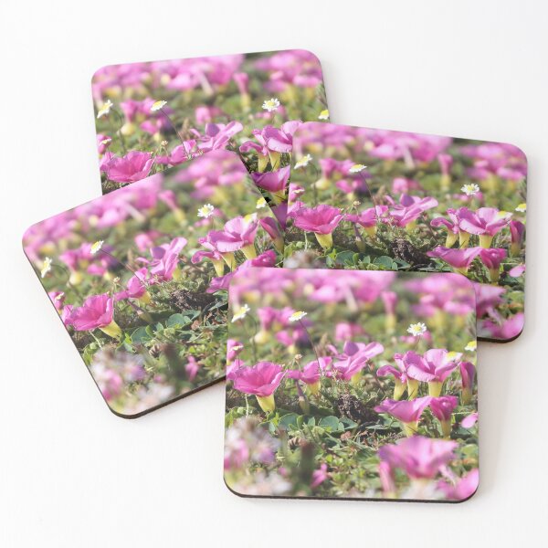 Item preview, Field of pink flowers designed and sold by NJH110.