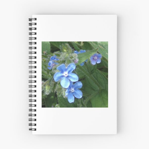 Item preview, Borage designed and sold by WyldArt.