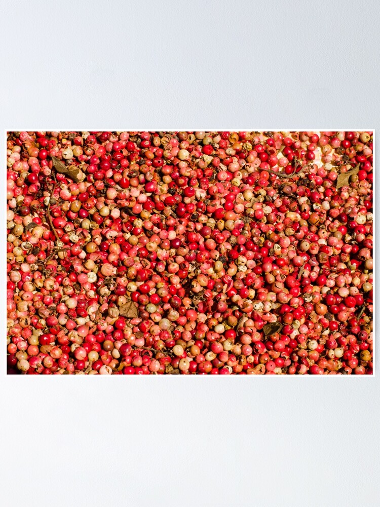 Thumbnail 1 of 3, Poster, Red Pepper designed and sold by NonVanilla.