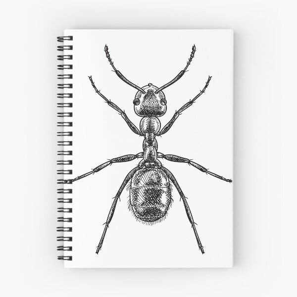 Item preview, Drawing of an ant designed and sold by StefanAlfonso.