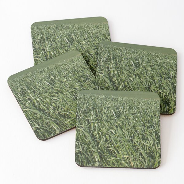 Item preview, Green Canola fields designed and sold by NJH110.