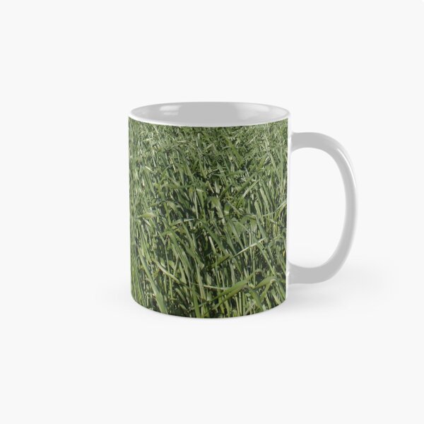 Item preview, Green Canola fields designed and sold by NJH110.
