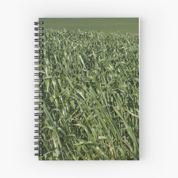 Item preview, Green Canola fields designed and sold by NJH110.