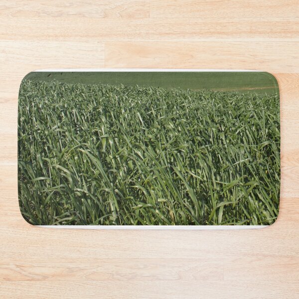 Item preview, Green Canola fields designed and sold by NJH110.