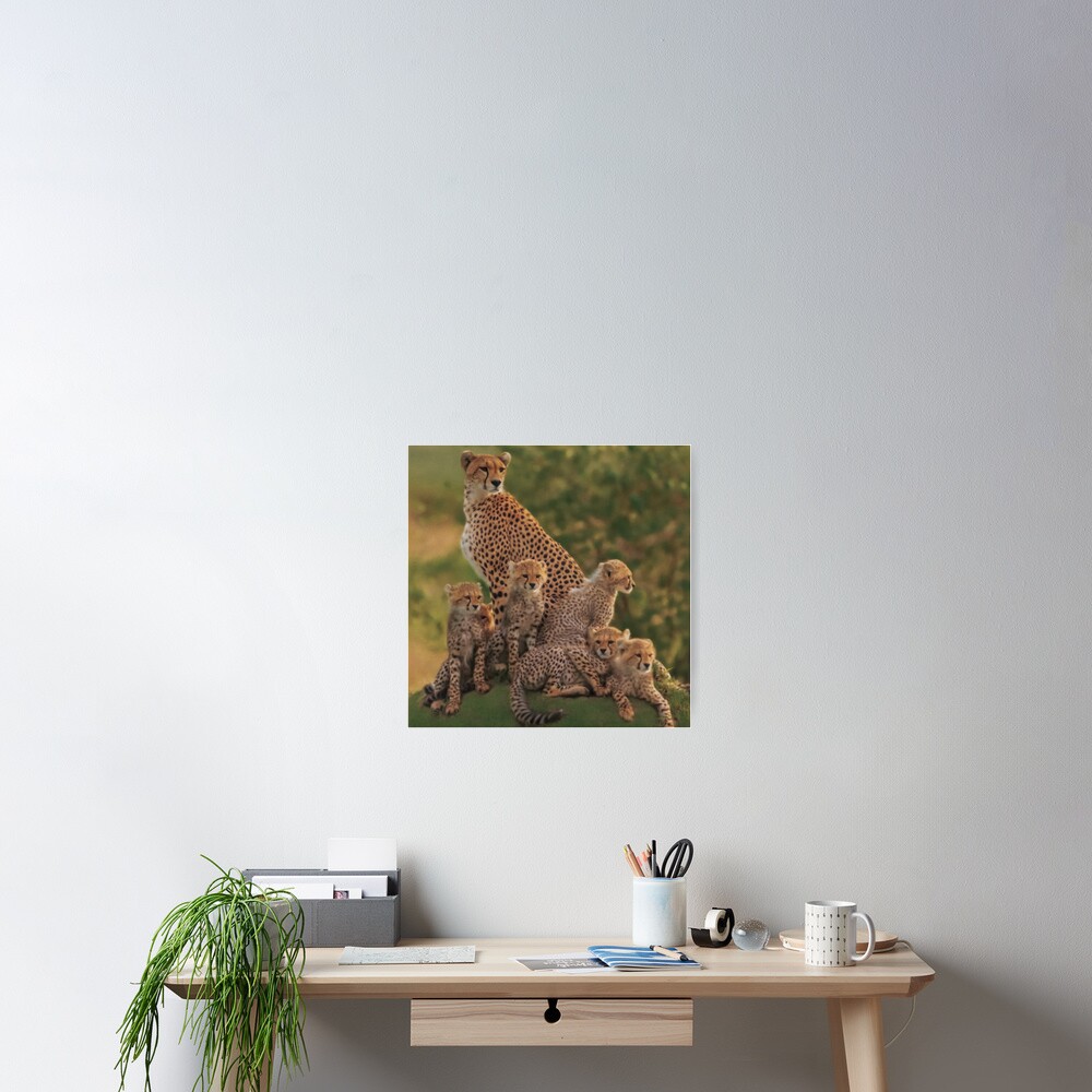 Item preview, Poster designed and sold by StarsForgers.