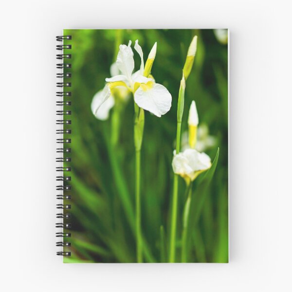 Item preview, White Iris designed and sold by Erica Dean Lamb.