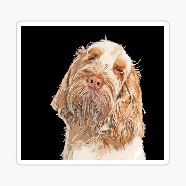 Cartoon Head tilt Spinone Sticker
