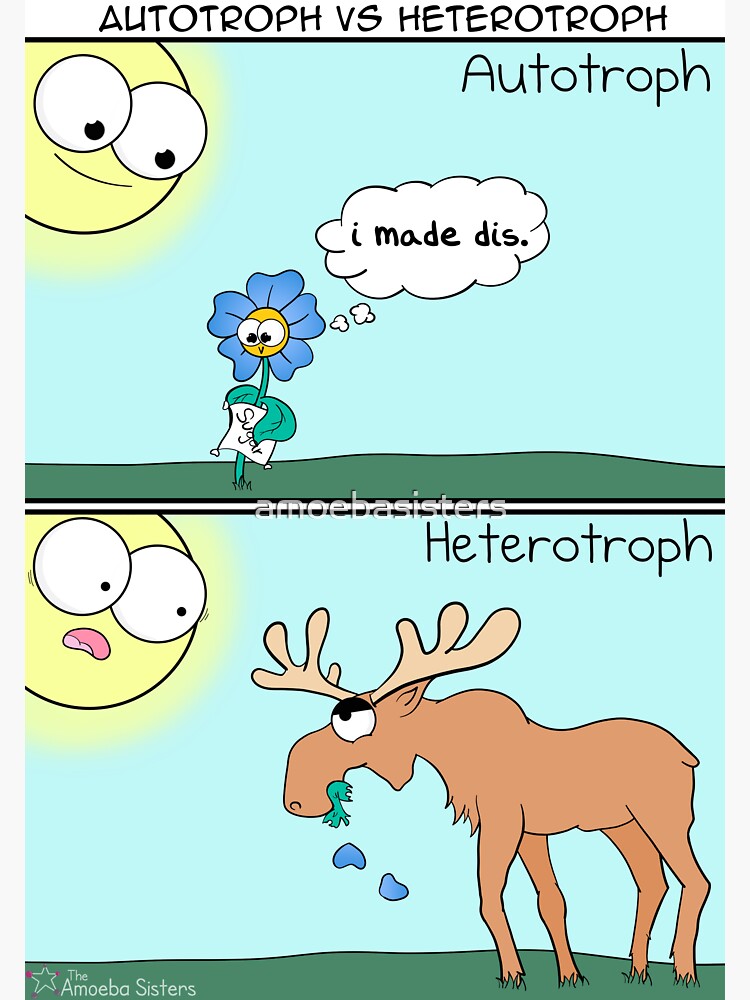 Autotroph vs Heterotroph by amoebasisters