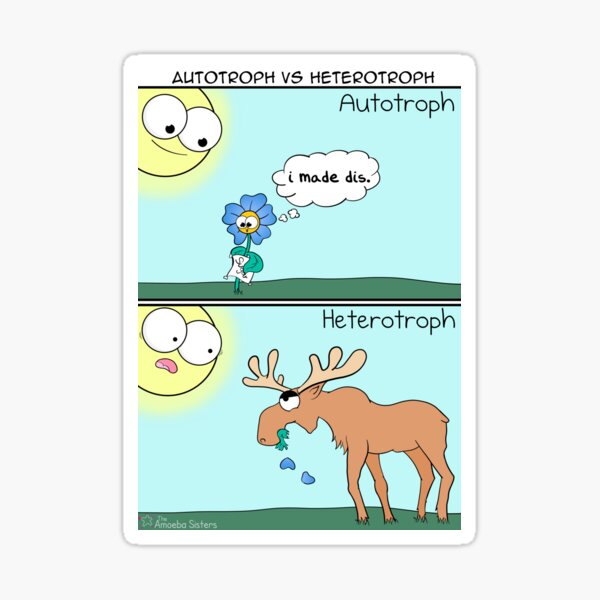 Autotroph vs Heterotroph Sticker