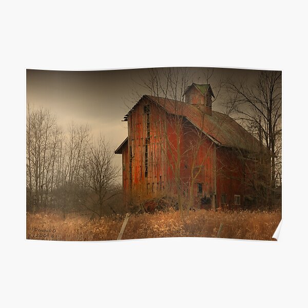 " Fields of Gold " Poster