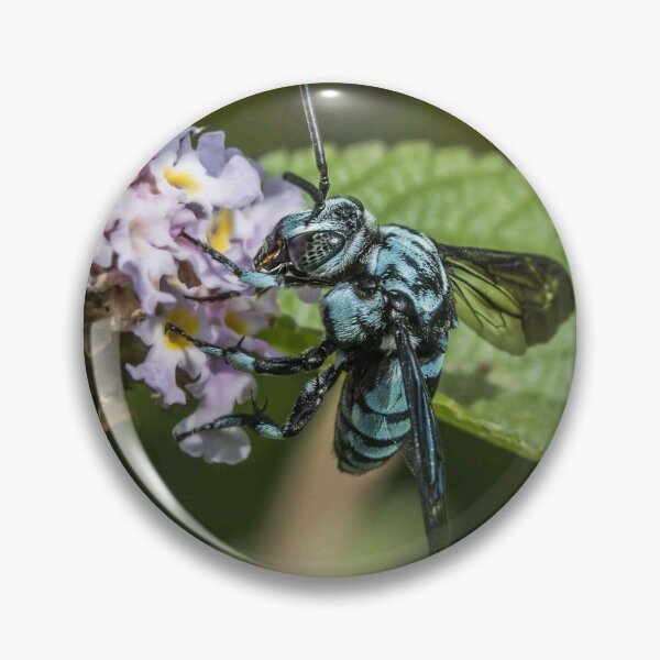 Item preview, carpenter bee collecting nectar designed and sold by ritusdesigns.