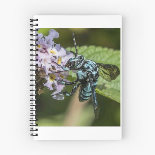 Item preview, carpenter bee collecting nectar designed and sold by ritusdesigns.