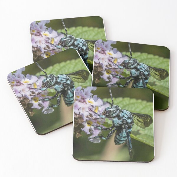 Item preview, carpenter bee collecting nectar designed and sold by ritusdesigns.