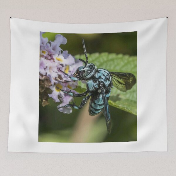 Item preview, carpenter bee collecting nectar designed and sold by ritusdesigns.