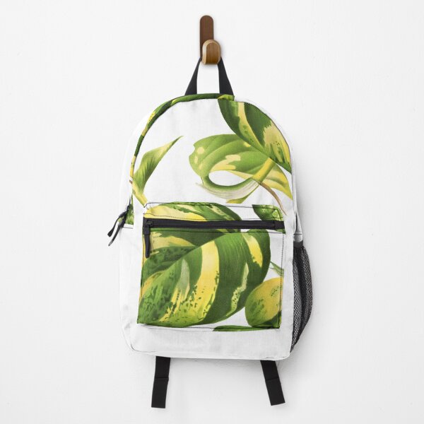 Item preview, Golden Pothos - L’ Illustration horticole - Botanical Illustration designed and sold by chimakingthings.