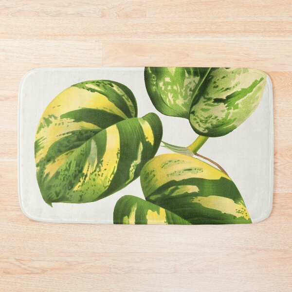 Item preview, Golden Pothos - L’ Illustration horticole - Botanical Illustration designed and sold by chimakingthings.