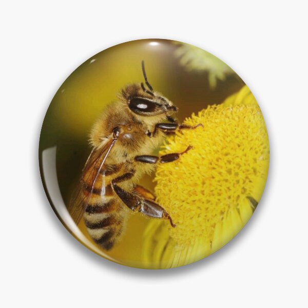 Item preview, apis mellifera collecting honey designed and sold by ritusdesigns.