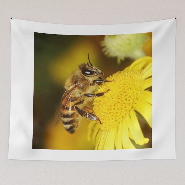 Item preview, apis mellifera collecting honey designed and sold by ritusdesigns.