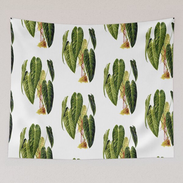 Item preview, Philodendron Melanochrysum - Revue horticole designed and sold by chimakingthings.