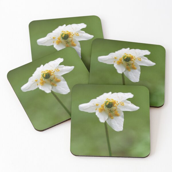 Item preview, Just one visitor. Wood anemone designed and sold by Jouko Lehto Photography.
